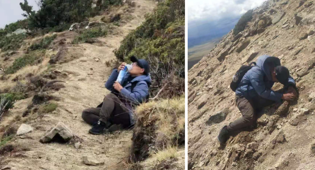 橋梁監測,水壩監測,古建筑監測,爆破監測,地震監測
