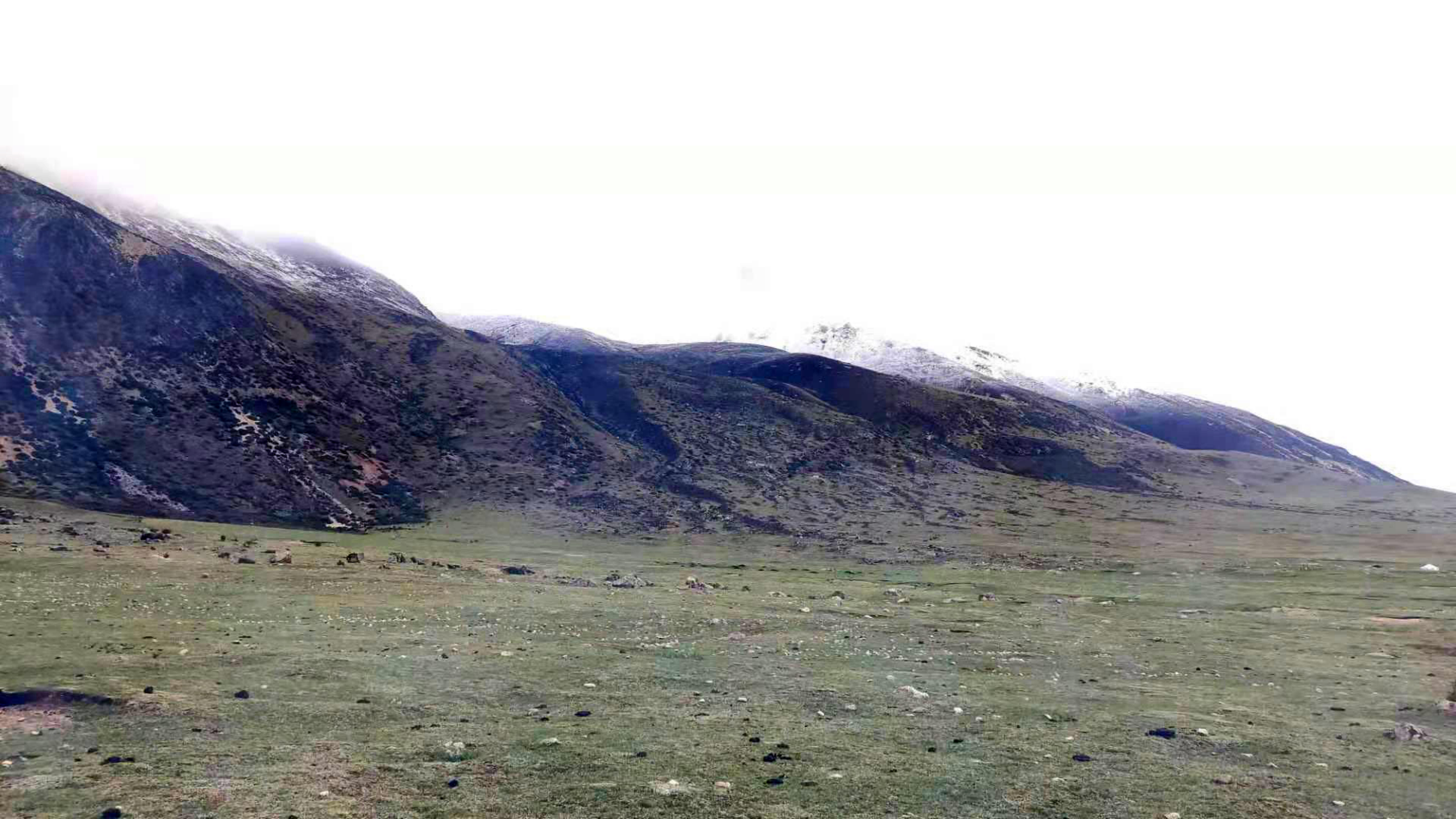 橋梁監測,水壩監測,古建筑監測,爆破監測,地震監測