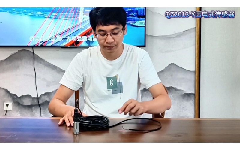 QZ2013-Y壓電式傳感器