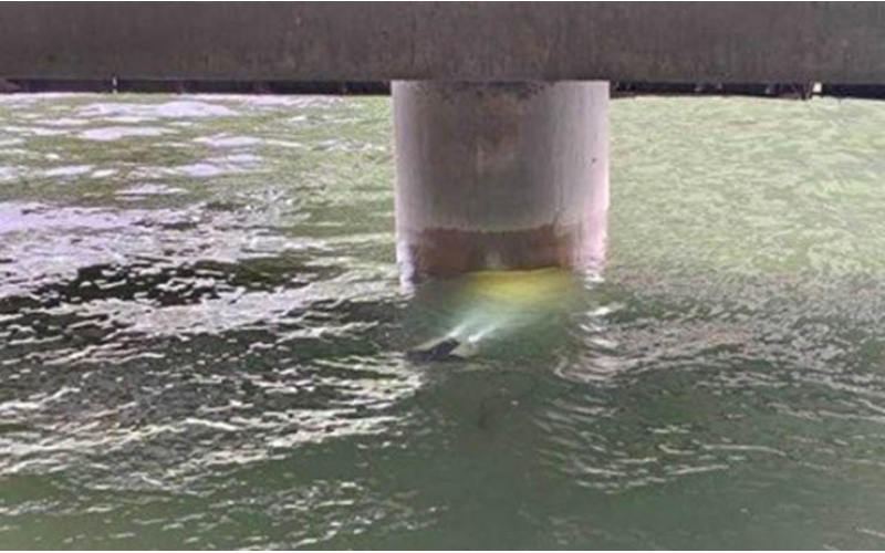 “橋梁醫生”新助力，50 米水下圖像回傳清晰